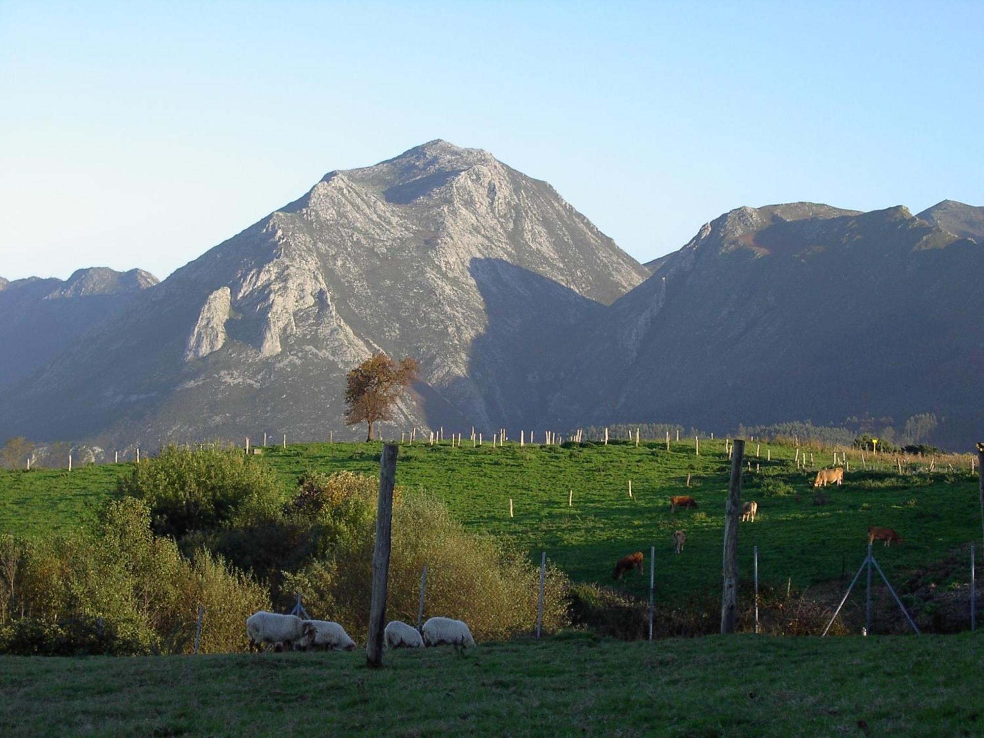Paraje Del Asturcon - Adults Only Ribadesella Dış mekan fotoğraf